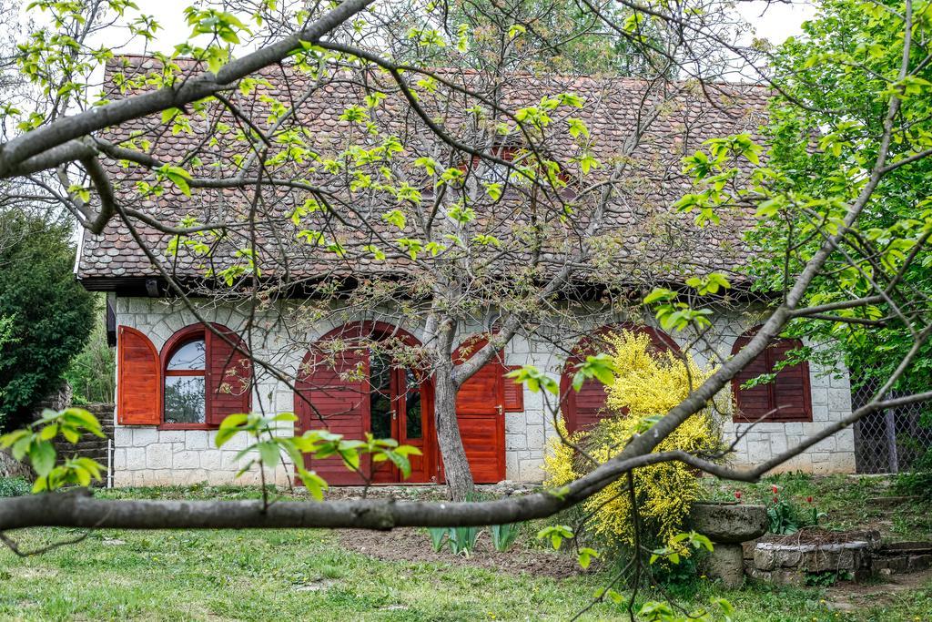 ホテル Myrtus Pince Es Vendeghaz タルカル 部屋 写真