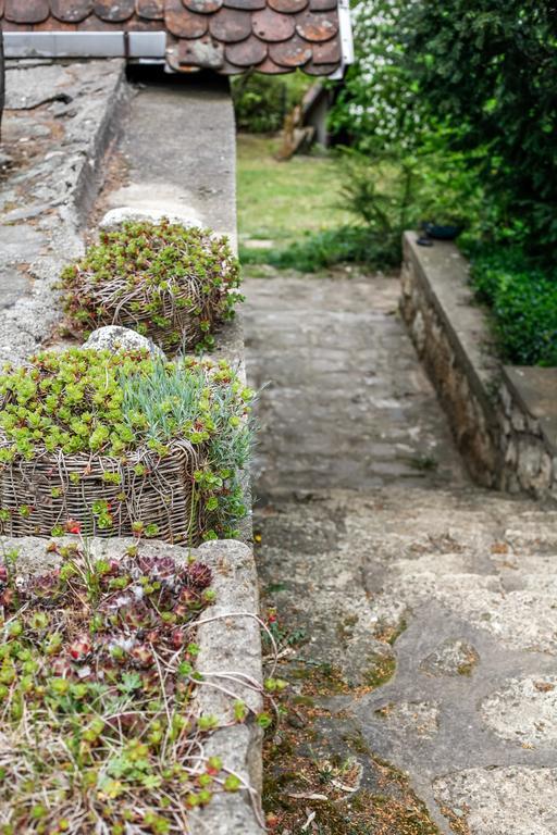 ホテル Myrtus Pince Es Vendeghaz タルカル エクステリア 写真