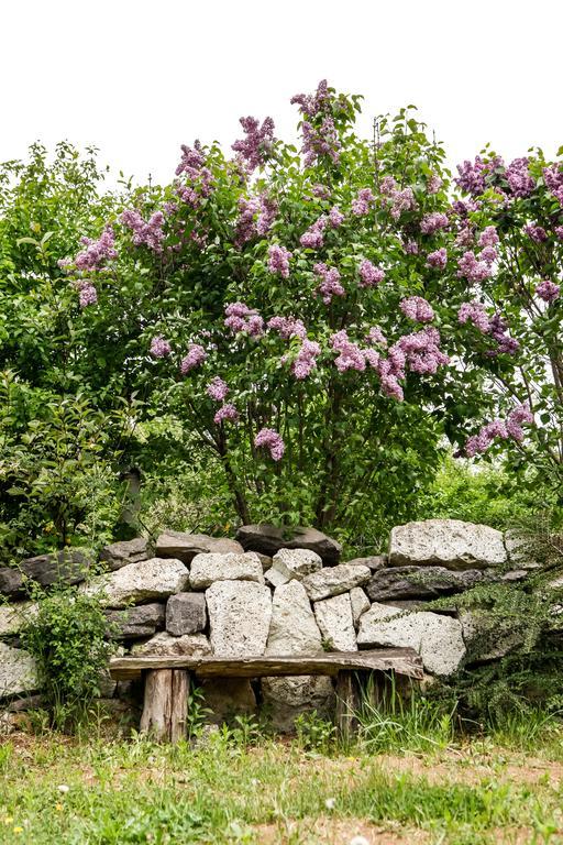 ホテル Myrtus Pince Es Vendeghaz タルカル 部屋 写真